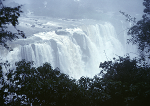 LEICA M6, HEKTOR 4,5/135